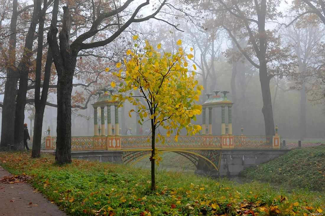 Александровский парк Санкт-Петербург Пушкин