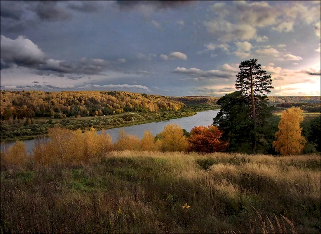 Алексин река Ока осень
