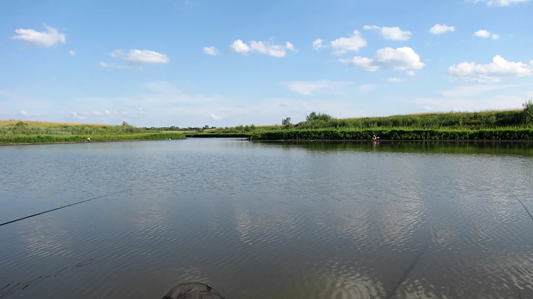 Богдановский пруд в Кунцево