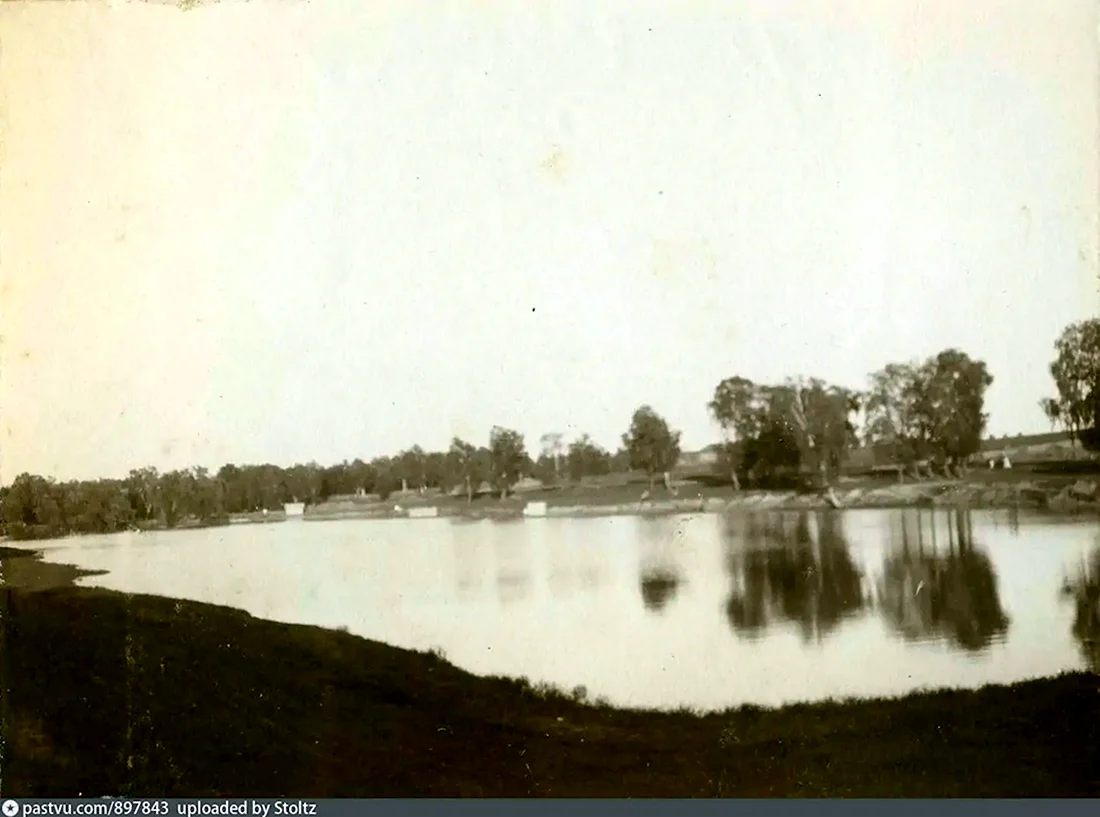 Богдановский пруд в Кунцево парк