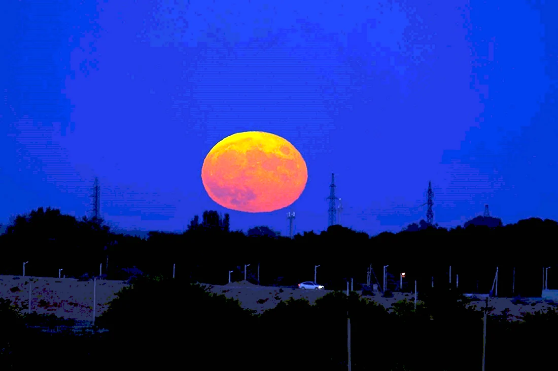 Большая Луна в Астраханской степи