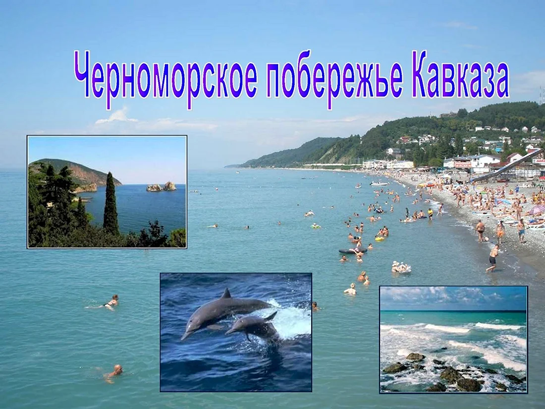 Черноморское побережье Кавказа Сочи