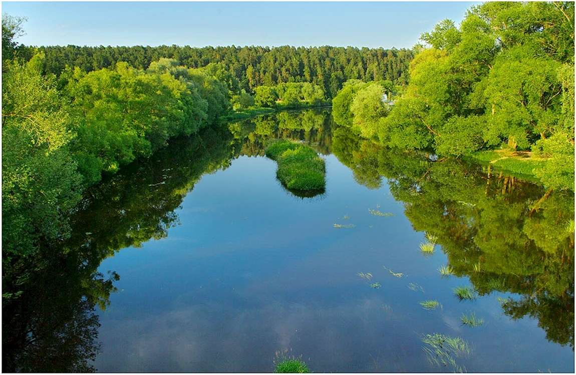 Днепр десны. Река Десна Брянск. Десна (приток Днепра). Река Десна Жуковка. Брянский лес река Десна.