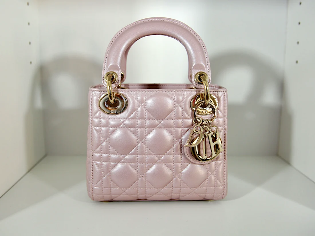 Dior Pink Bag