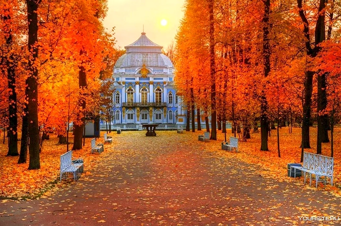 Екатерининский сквер осень Питер