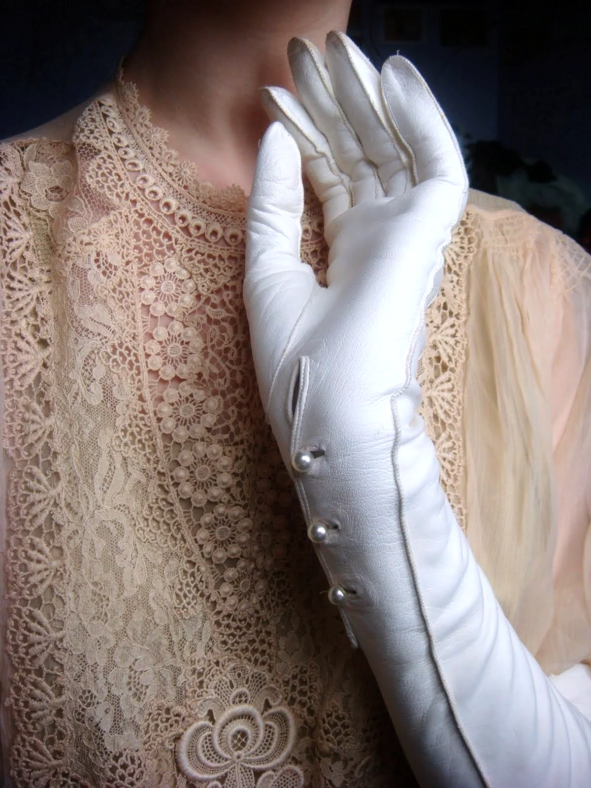 Эстетика викторианской эпохи перчатки