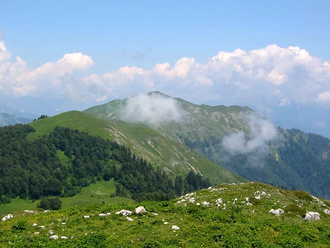 Мамдзышха гора. Гора Мамдзышха в Гагре. Мамзышха Абхазия. Гора Мамзышха Абхазия. Мамзышха Абхазия Гагра.