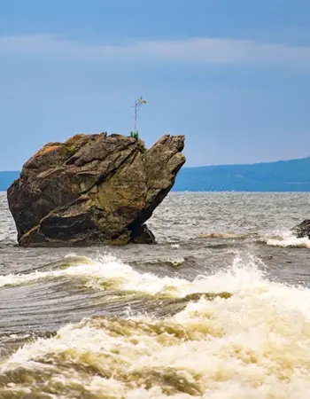 Горячинск Байкал черепаха