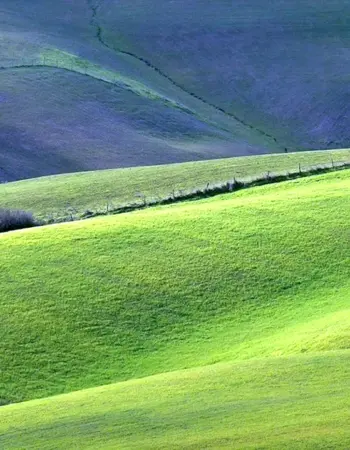 Green Hills зеленые холмы