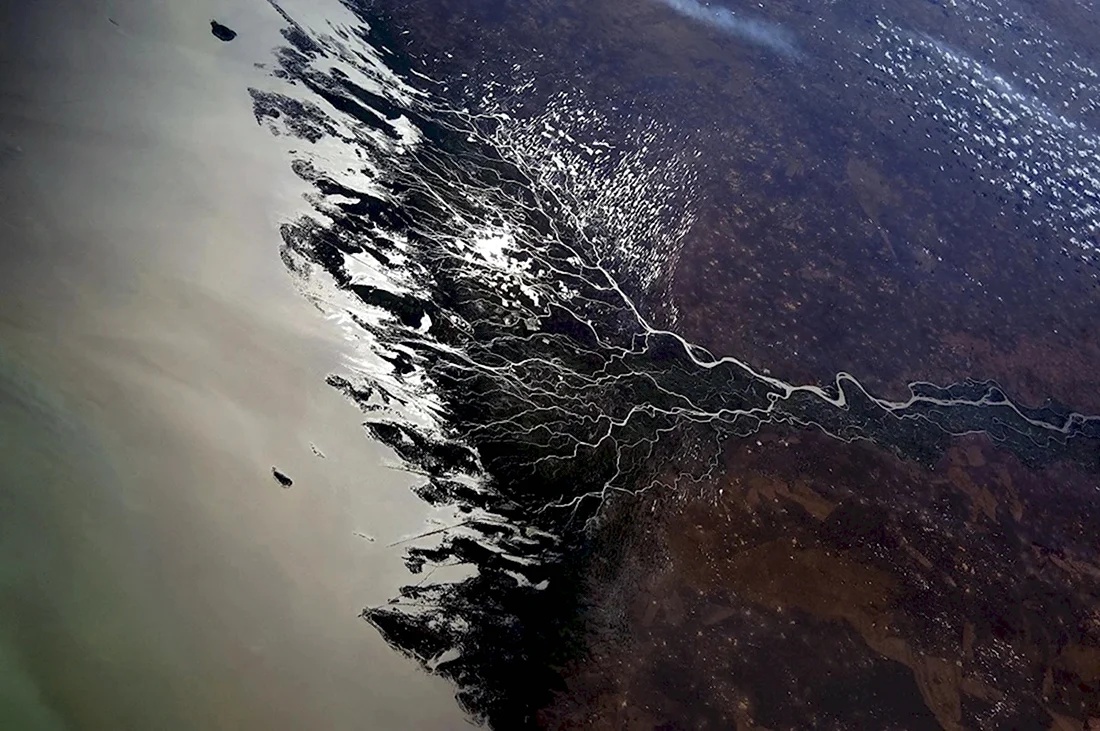 Каспийское море Дельта Волги