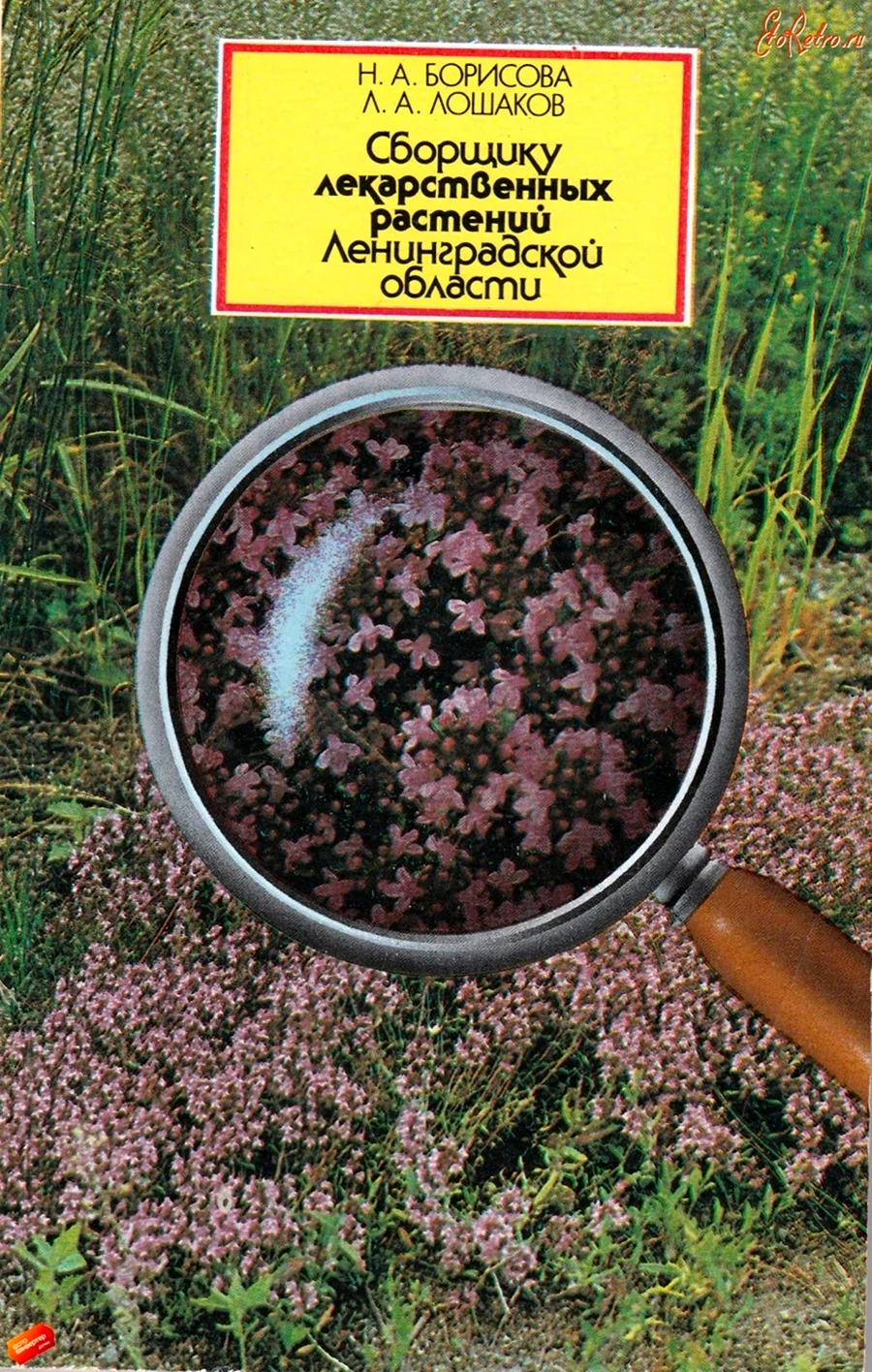Лекарственные растения Ленинградской области