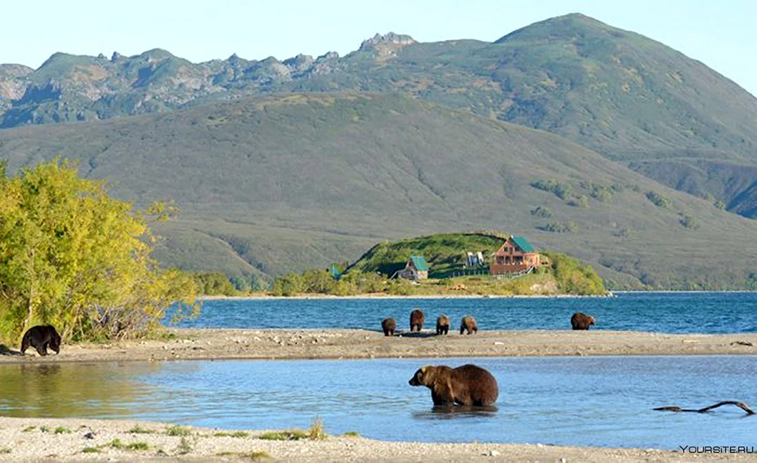 Медвежье озеро Петропавловск-Камчатский
