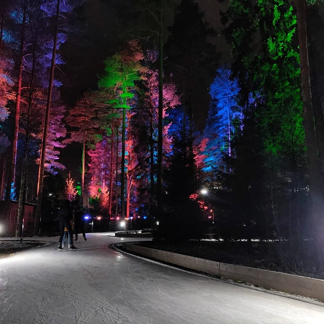 Охта-парк Санкт-Петербург Лесной каток