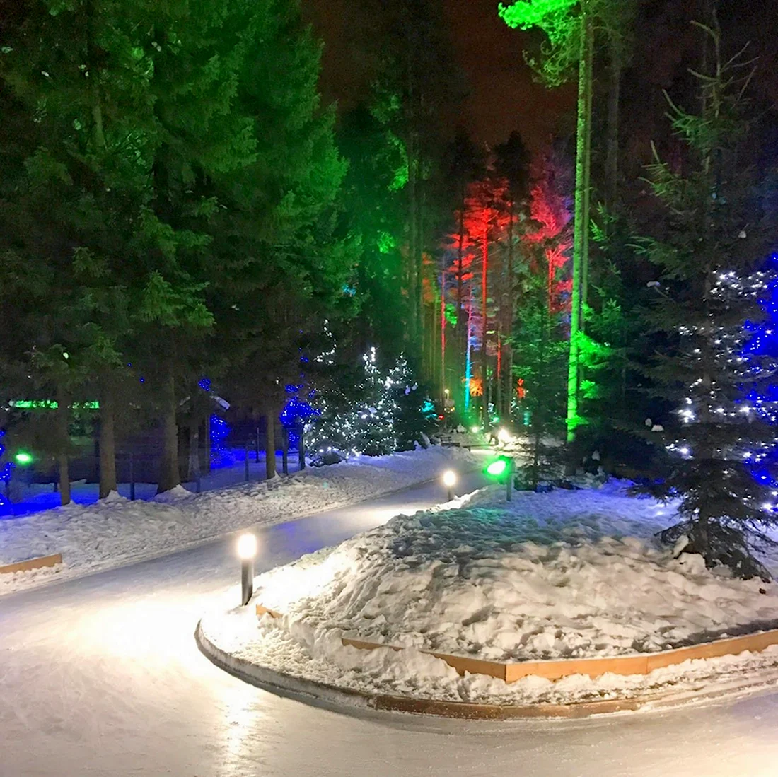 Охта-парк Санкт-Петербург Лесной каток