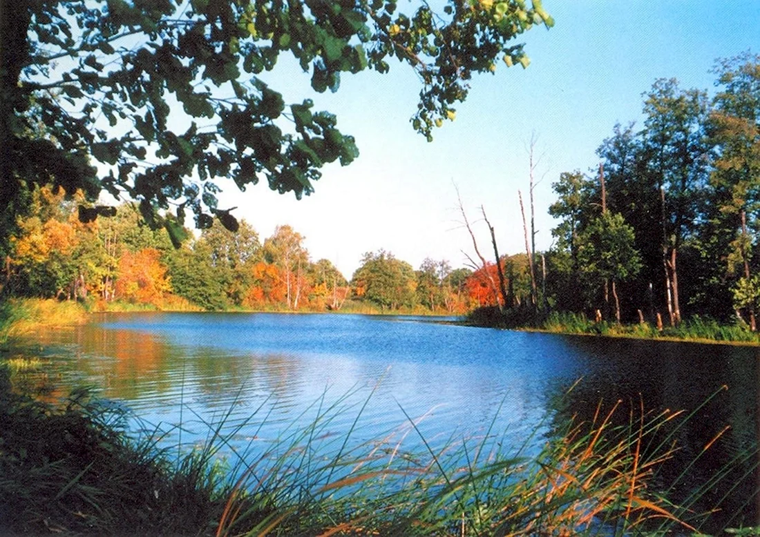 Озера Липецкой области
