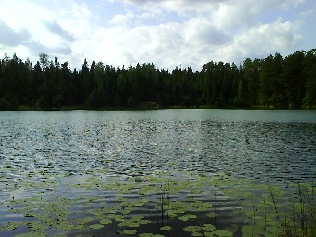 Озеро Бездон Калужская область