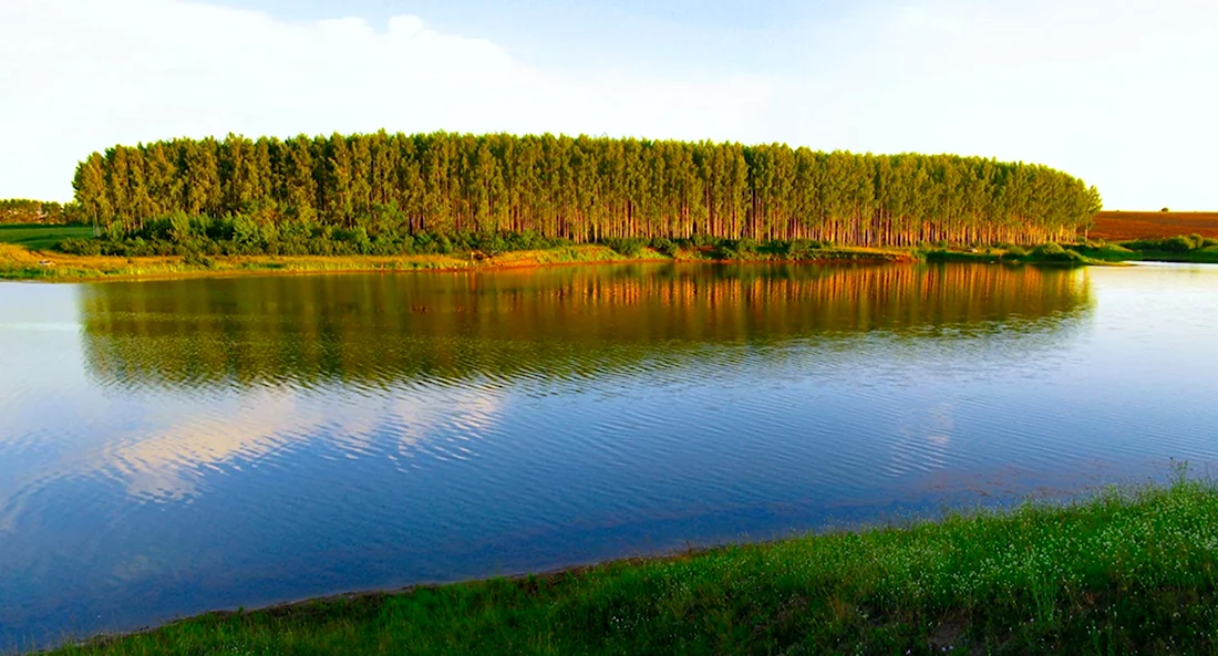 Озеро Сюткюль в Чувашии