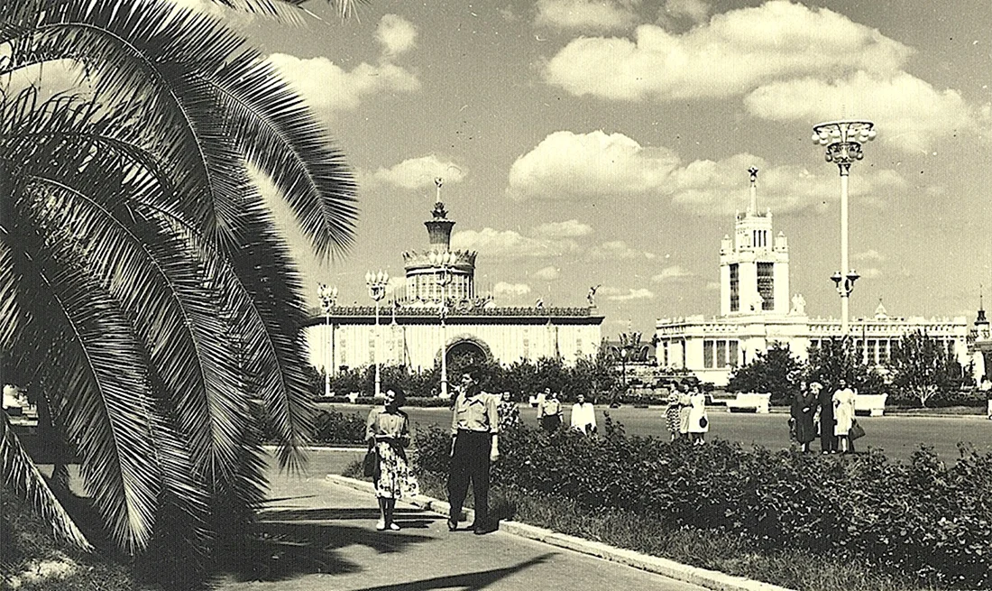 Площадь пальмы. ВДНХ 1955 год. ВСХВ ВДНХ. ВДНХ 19 век\. Всесоюзная сельскохозяйственная выставка 1954.