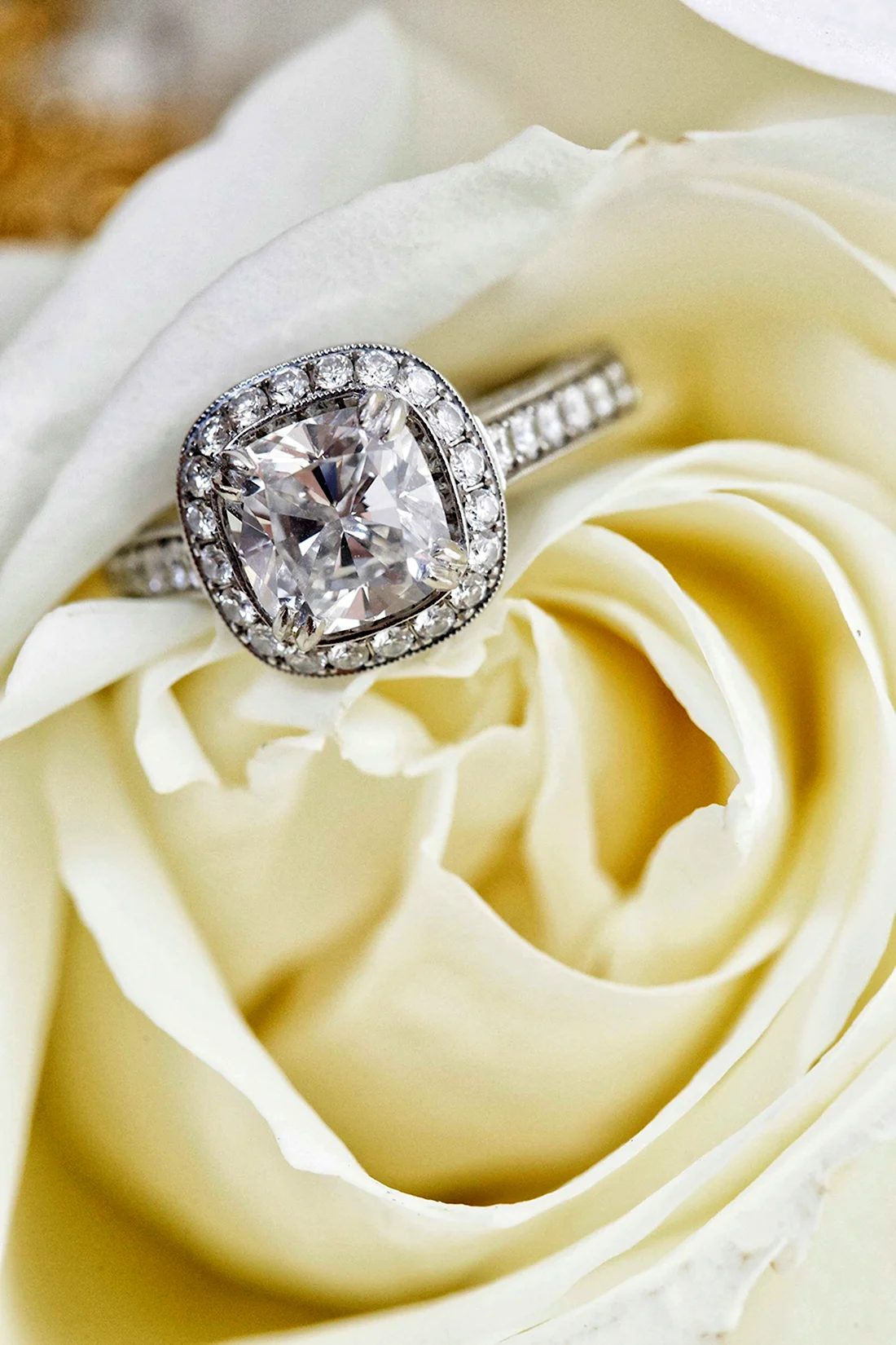 Помолвочное кольцо роза с бриллиантом