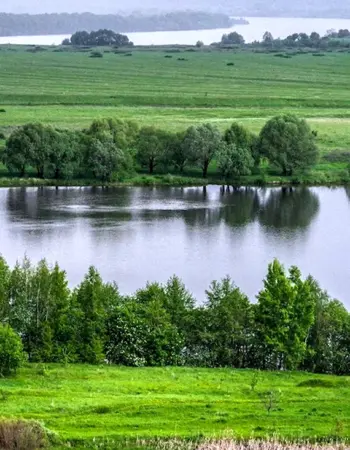 Природа Константиново Рязанской области