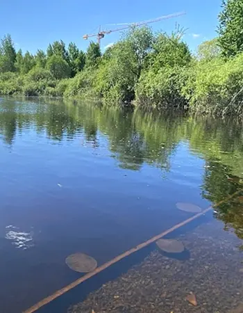 Пруд Заболотье