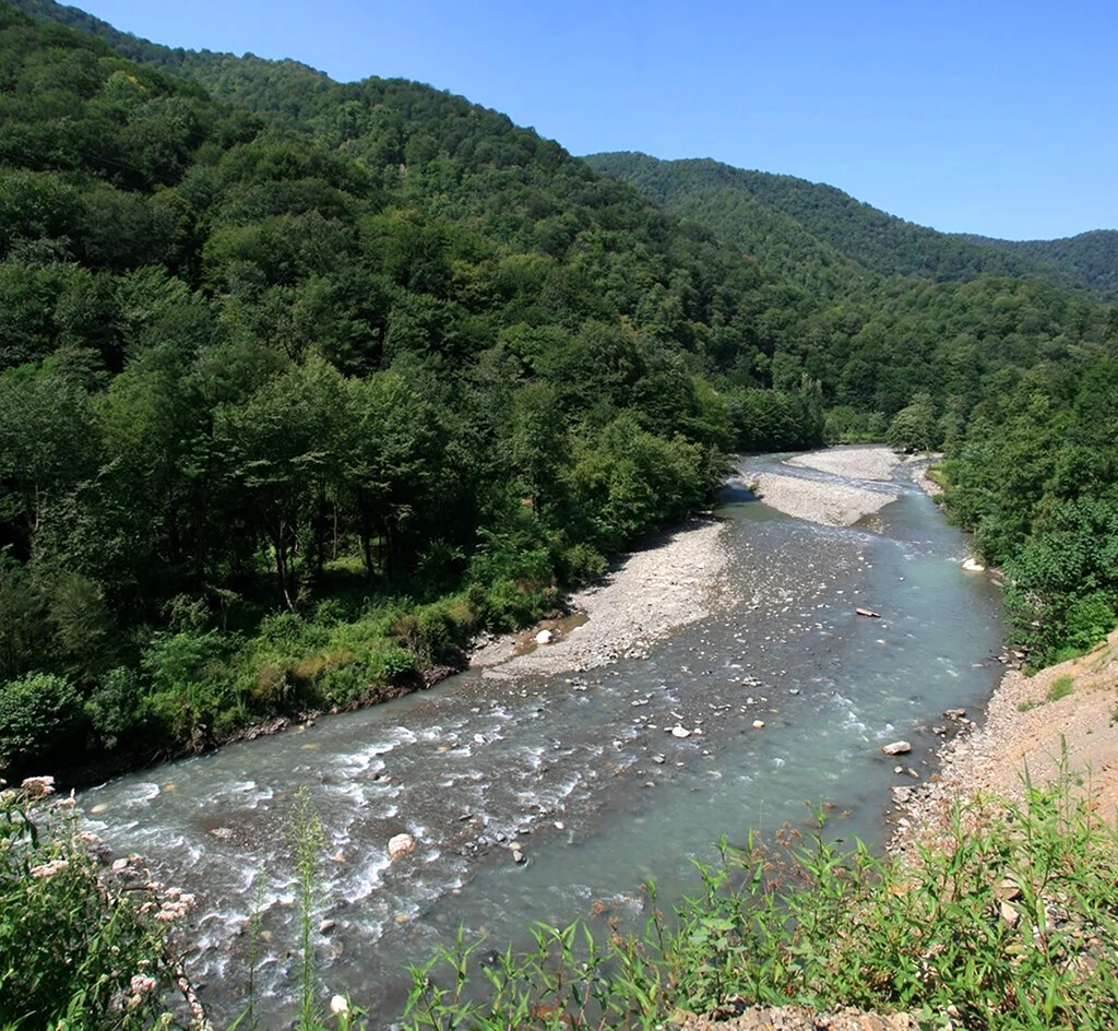 Река Гумиста Абхазия