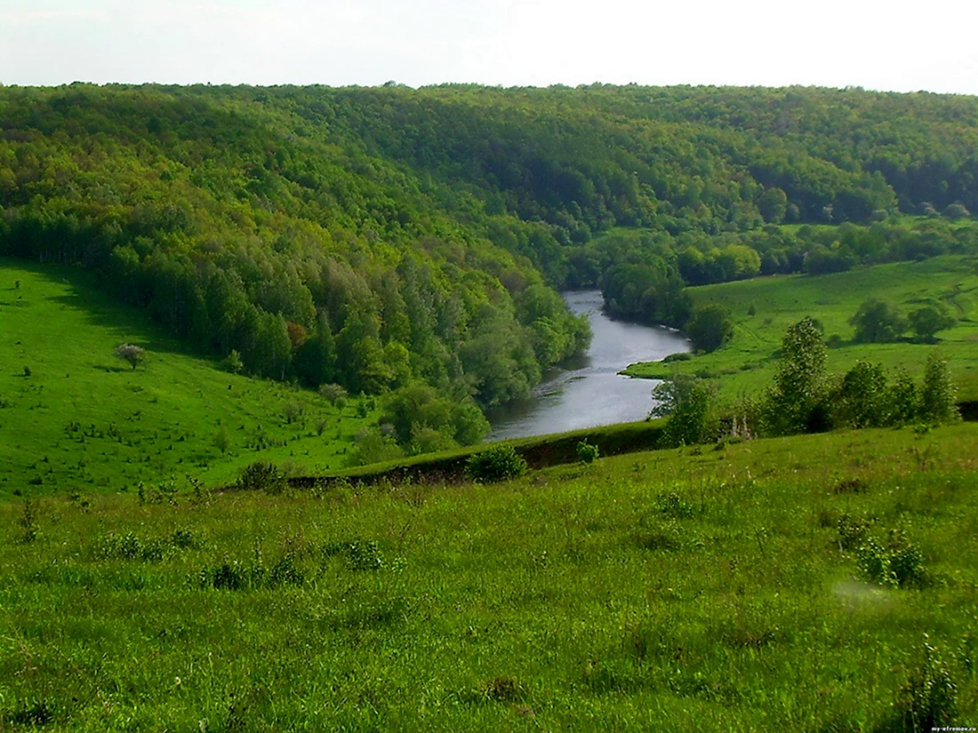 Река красивая меча Ефремовский район