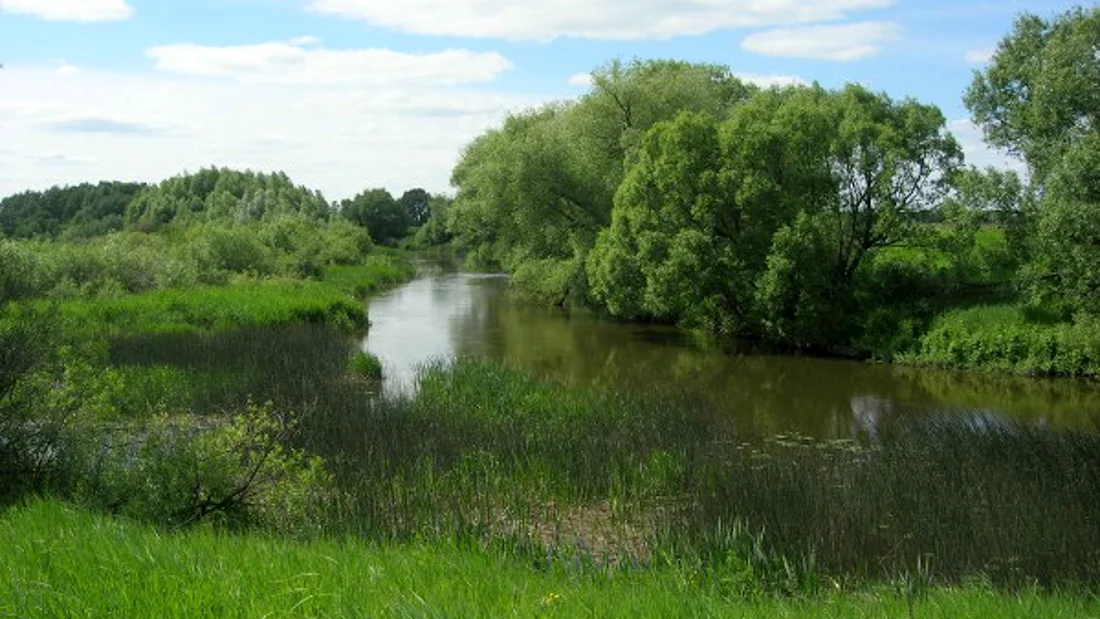 Река Ниверга Рязанская