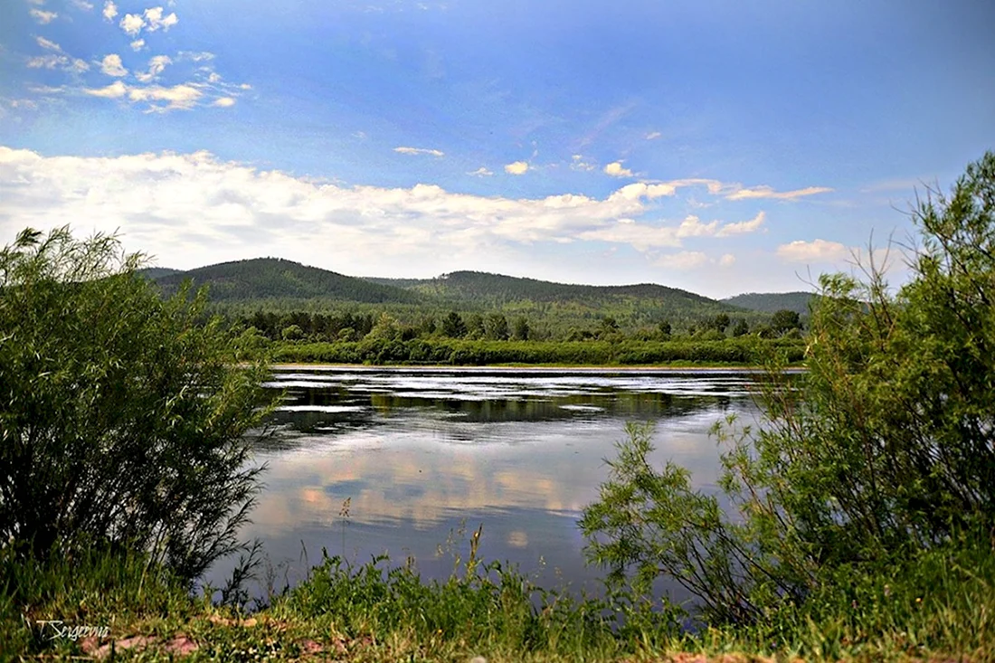 Река Онон Забайкальского