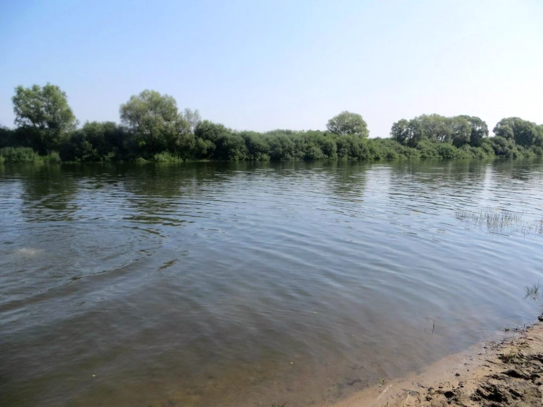 Река Проня Могилевская область