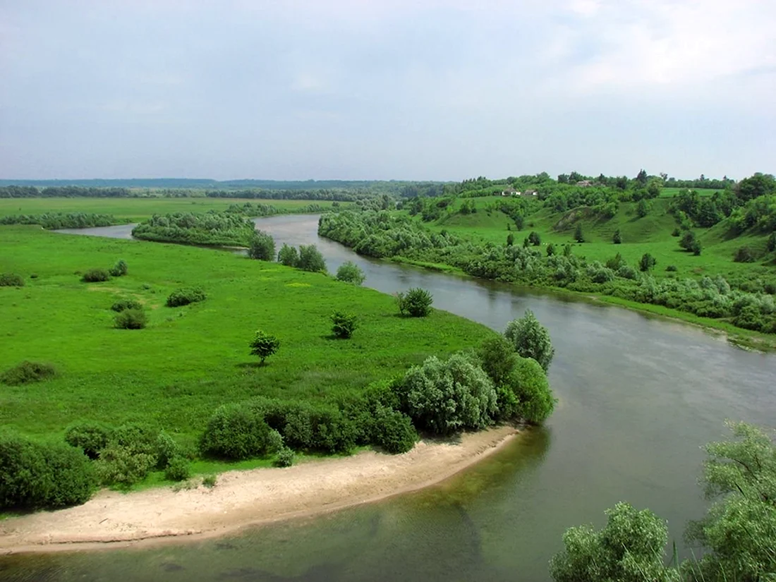 Река Сейм Курск