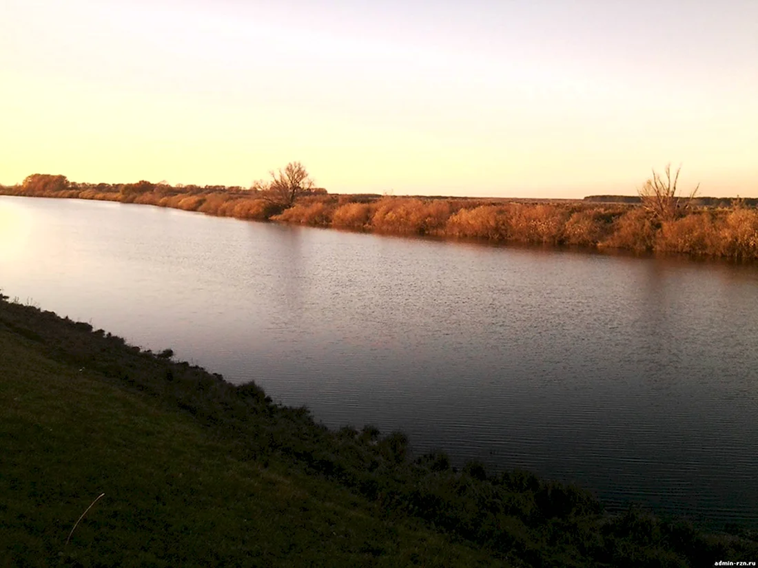 Река Тысья Рязанской области