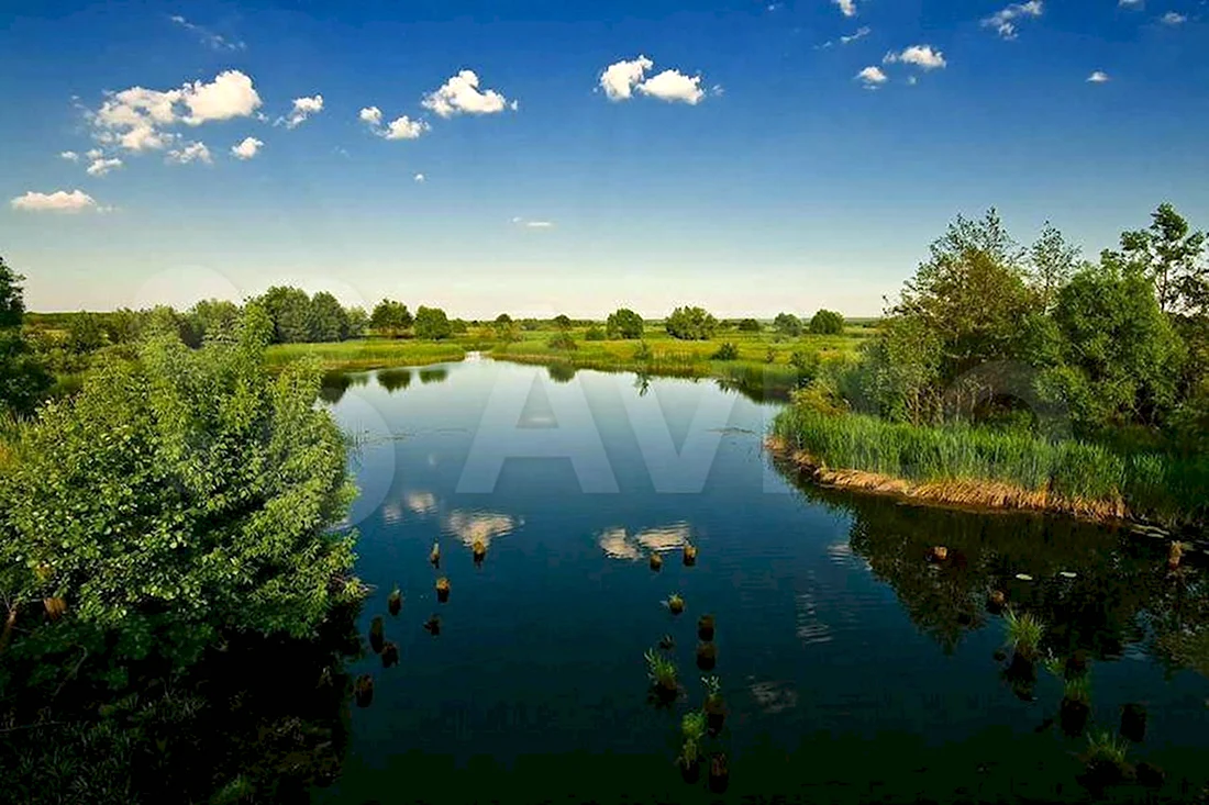 Рязанская область речка Ранова