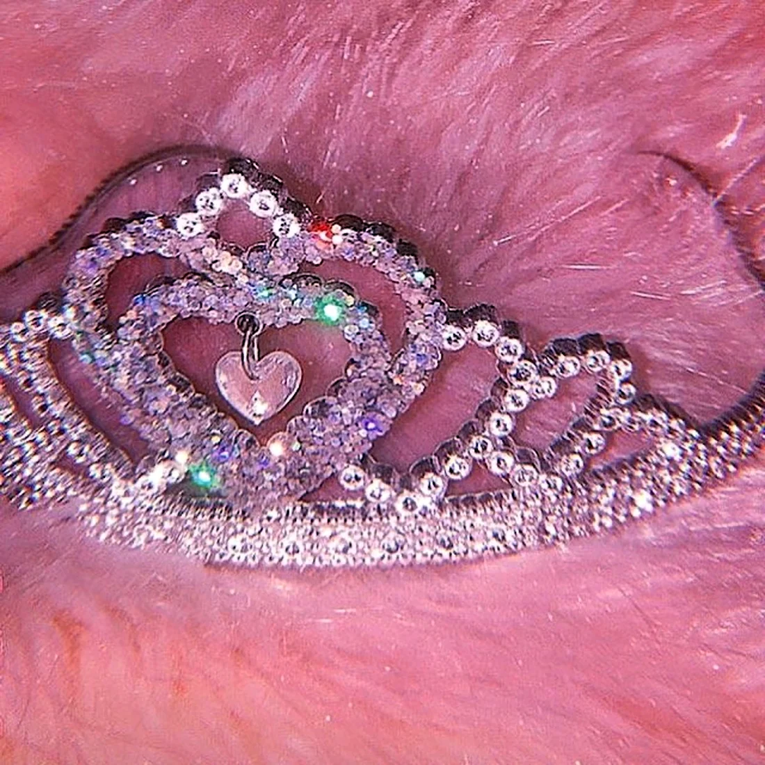 Розовая корона Эстетика