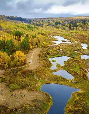 Салаирский Кряж Алтайский край