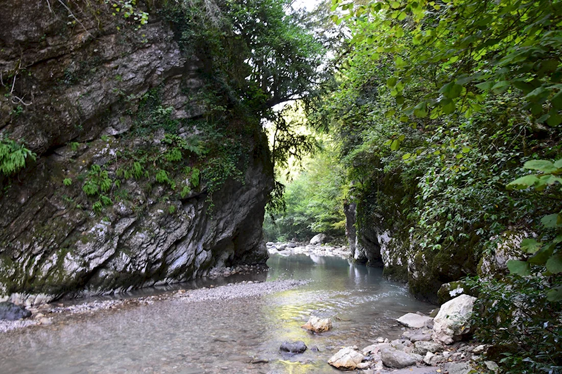 Село Хашупсе Абхазия