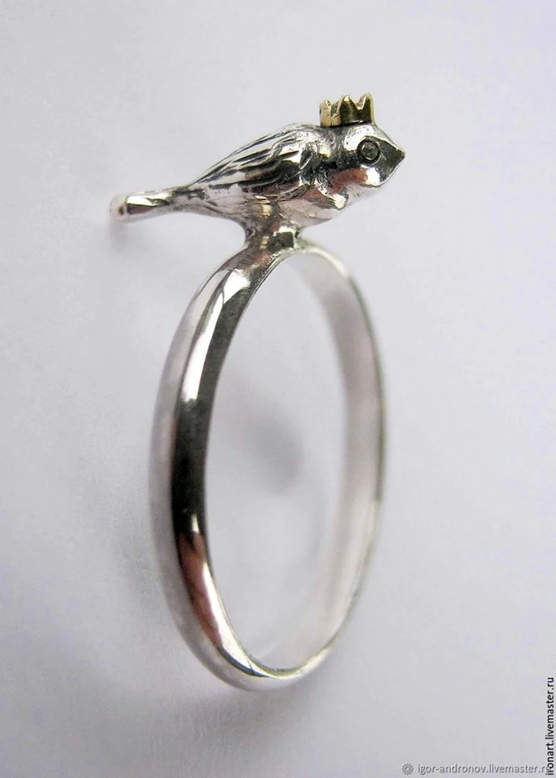 Серебряное кольцо с птичками
