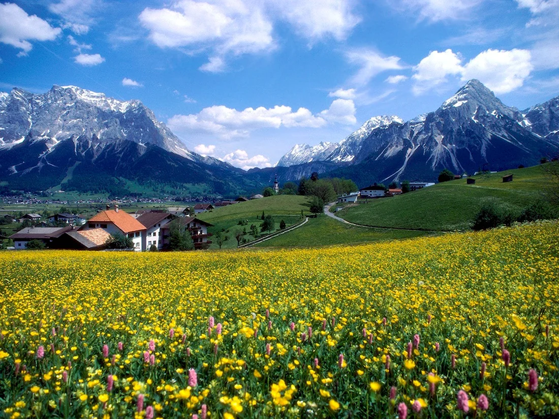 Швейцария горы поля Альпы