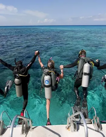 Скуба-дайвинг Scuba-Diving погружение