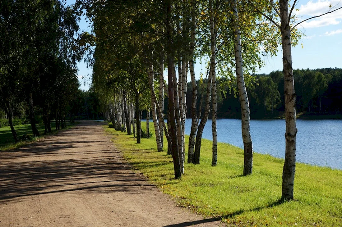 Территория санатория Сосновый Бор Беларусь