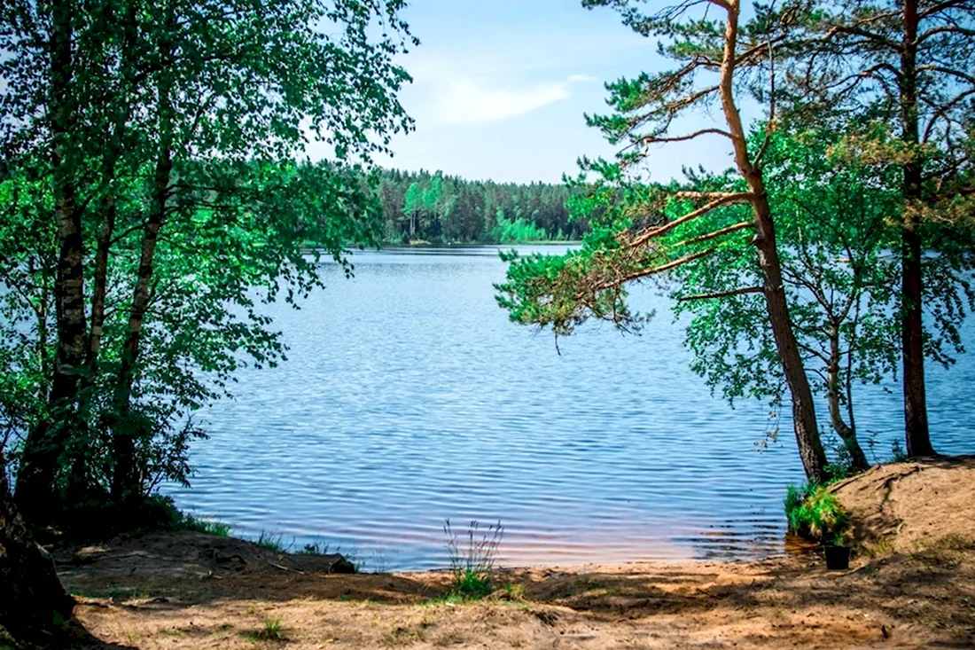 Вишневское озеро Ленинградская область