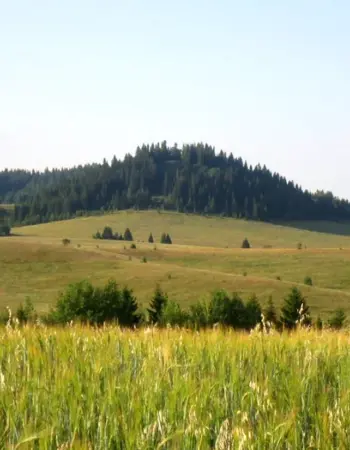 Заповедник Шаркан Удмуртия