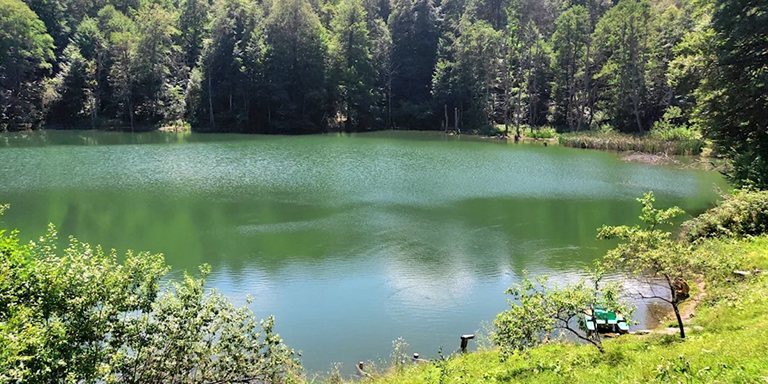 Зеленое озеро Бекешевка