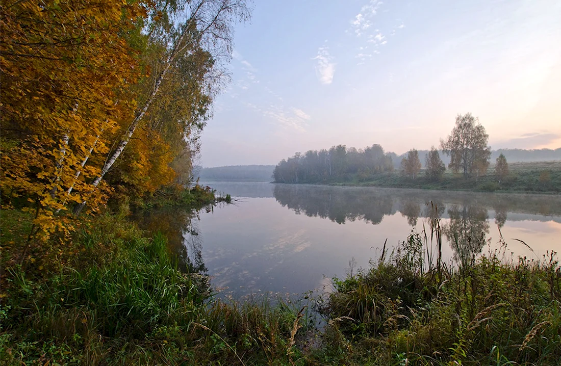 Жупель озеро Тульской области