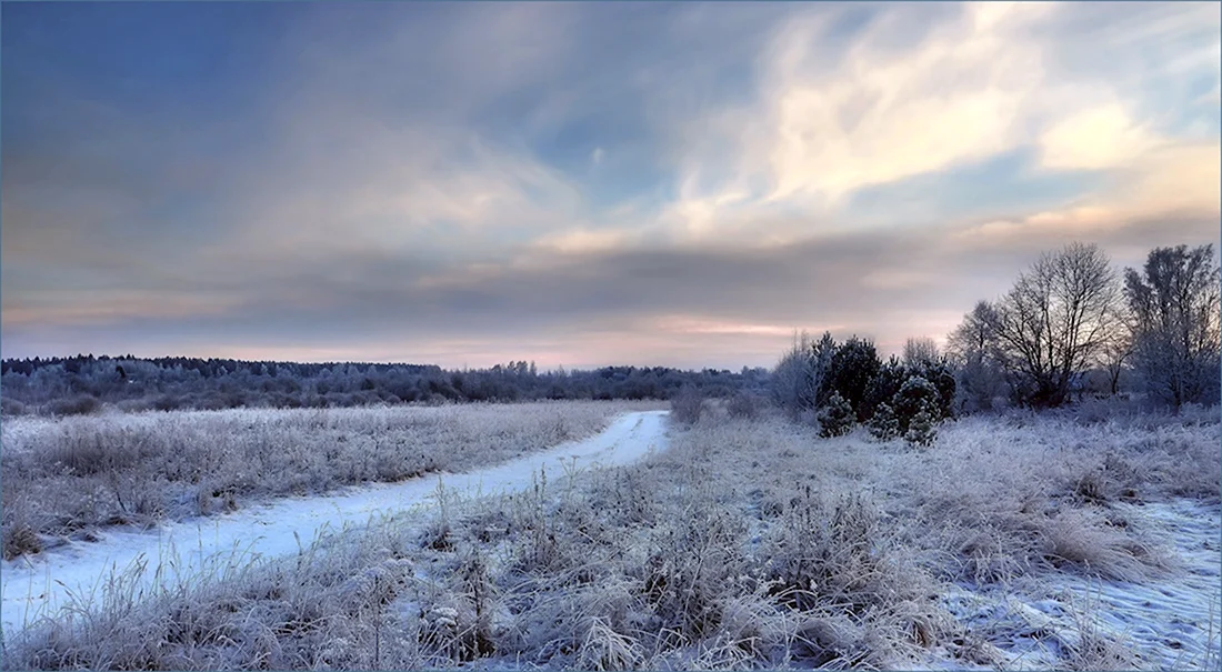 Зима Беларусь поле
