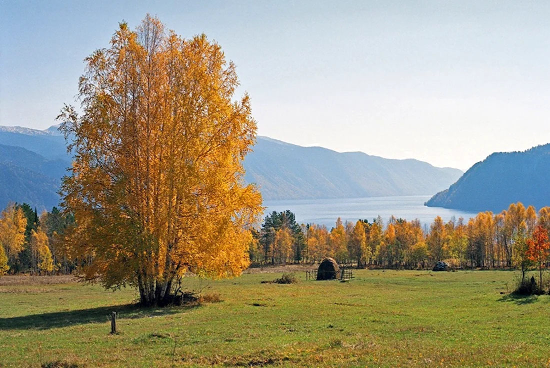 Золотая осень горный Алтай