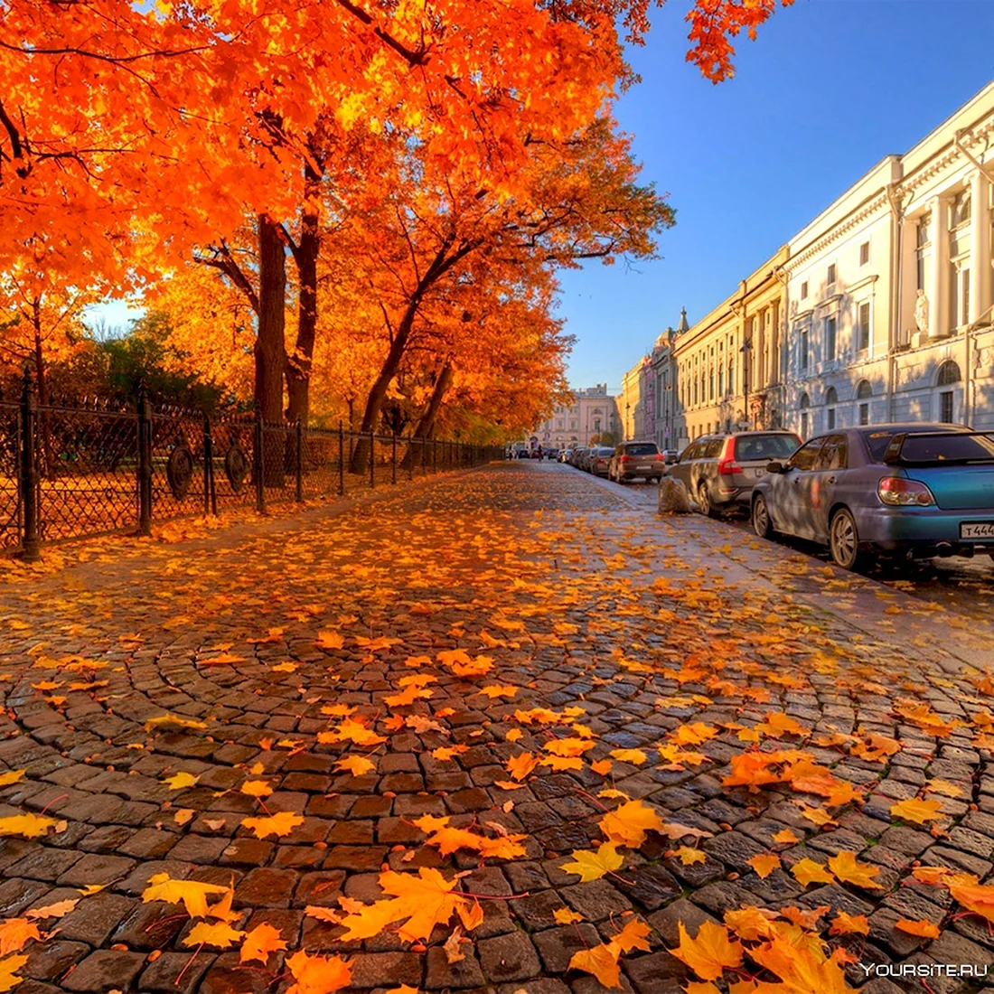 Золотая осень в СПБ Петроградка