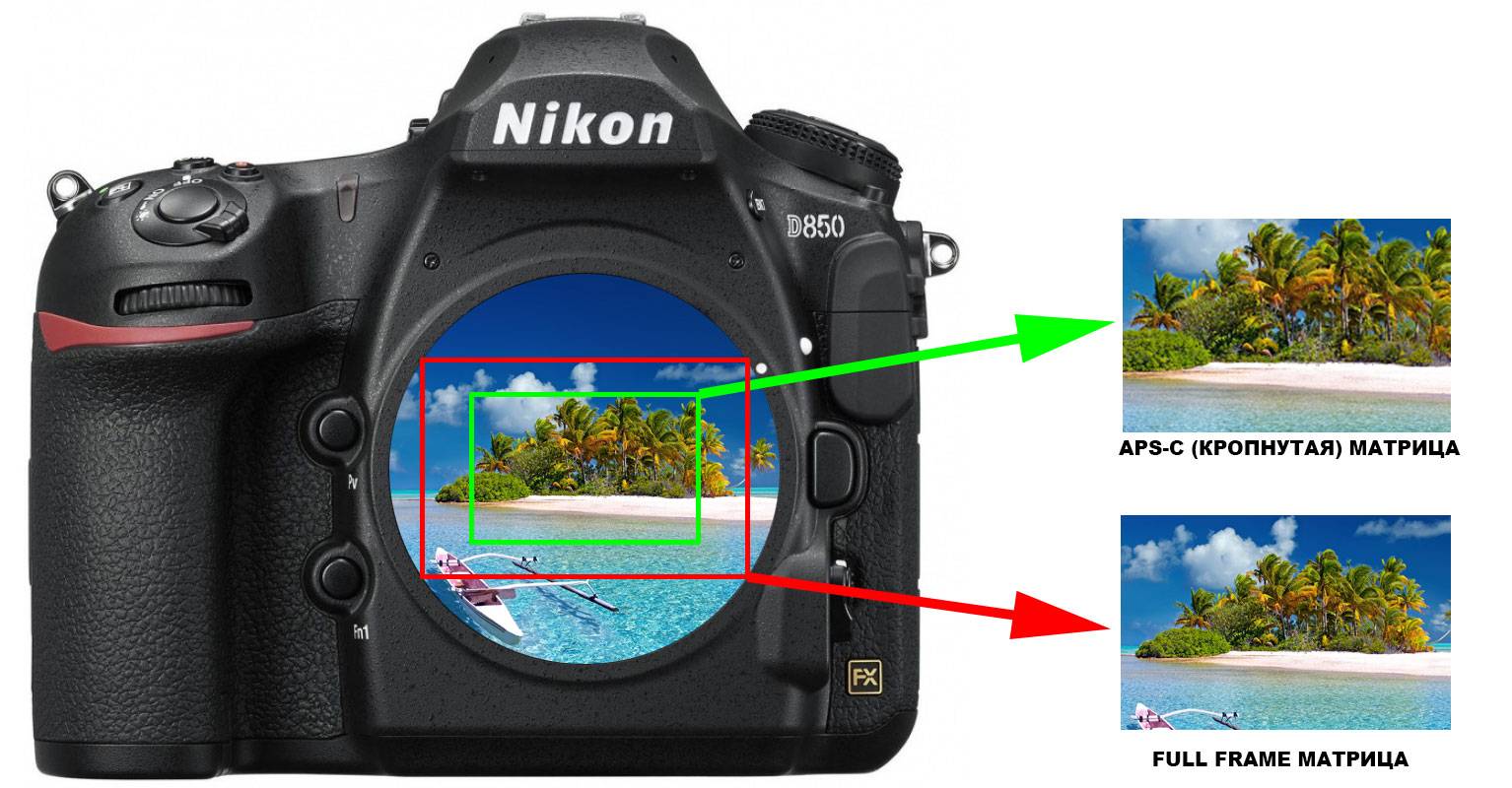 Кроп-фактор: ключ к пониманию цифровой фотографии